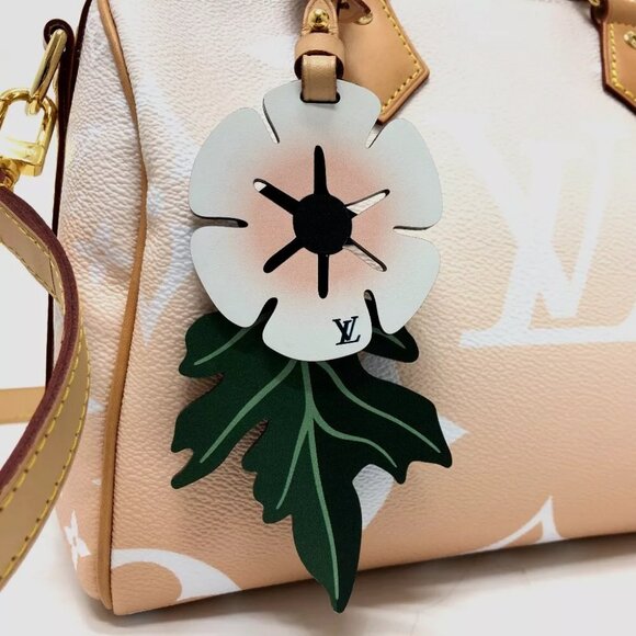 LOUIS VUITTON Monogram Giant Gradient Speedy Bandouliere - Picture 7 of 15